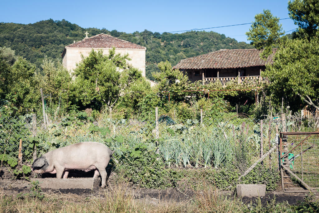 Reitoral De Chandrexa Konuk evi Parada del Sil Dış mekan fotoğraf