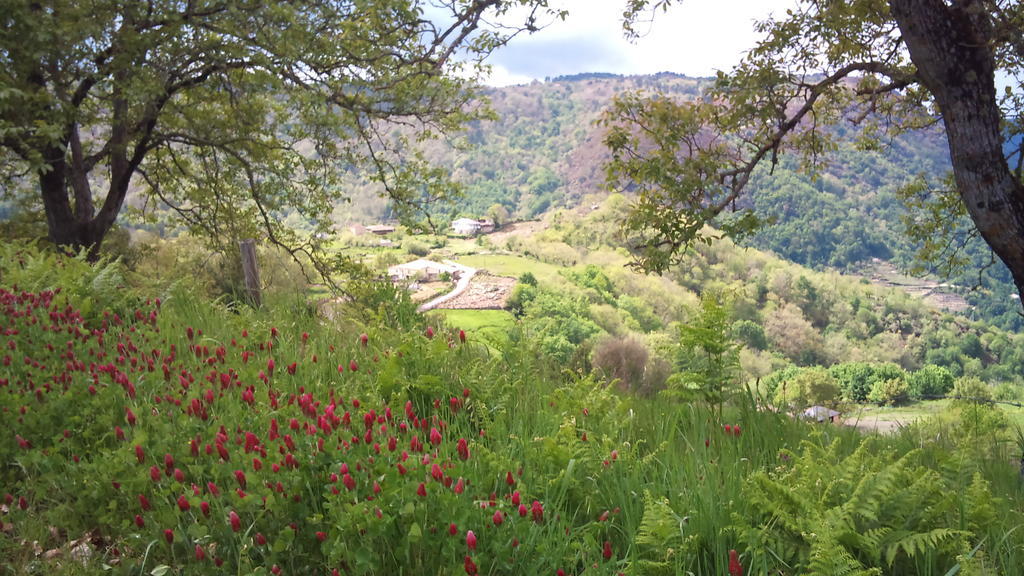 Reitoral De Chandrexa Konuk evi Parada del Sil Dış mekan fotoğraf