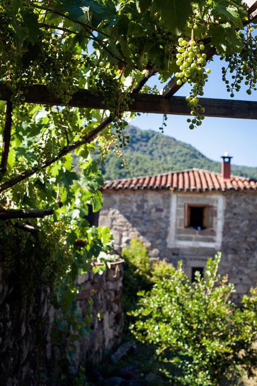 Reitoral De Chandrexa Konuk evi Parada del Sil Dış mekan fotoğraf