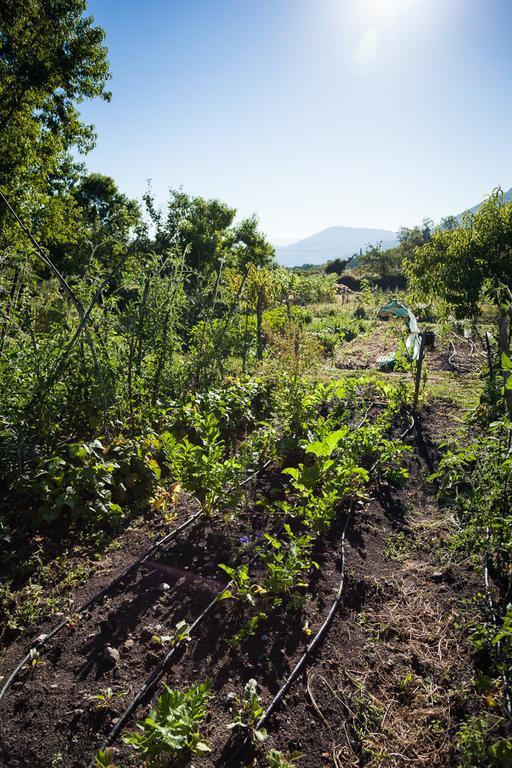 Reitoral De Chandrexa Konuk evi Parada del Sil Dış mekan fotoğraf